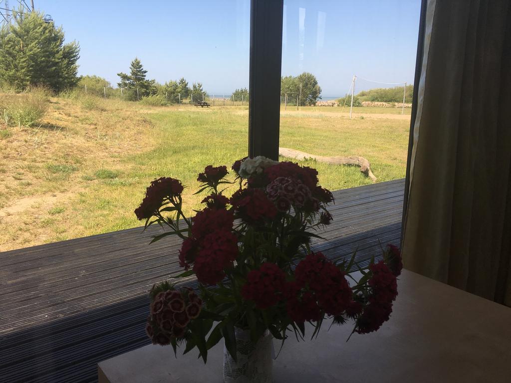 Pavilosta Marina Exteriör bild